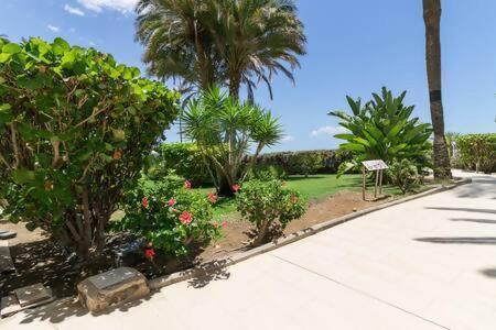 Costa Alegre Appartement *